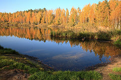 фото "Золотая осень"