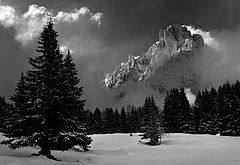 photo "***"