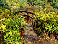 фото "Little Red Bridge"