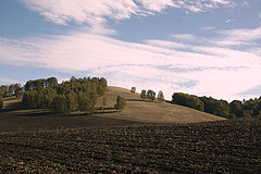 фото "Безмолвие."