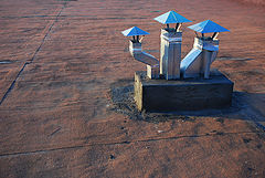 photo "Mushroom season in the city"