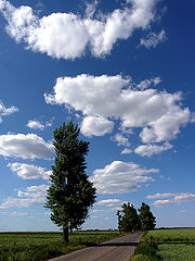 photo "Way through the plains / Путь через равнины"