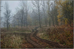 photo "***"