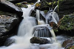 photo "***"