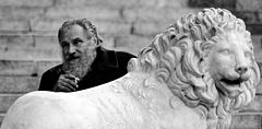 photo "Two Lion"