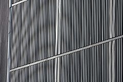 фото "the wall - not another brick"