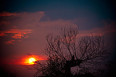 photo "The October Sunset"