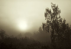 photo "***"