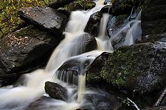 photo "***"