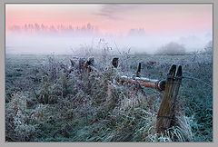 photo "***"