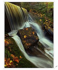 фото "spilled Autumn"