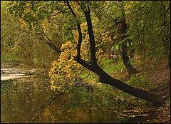 photo "***"