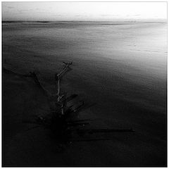 photo "***"