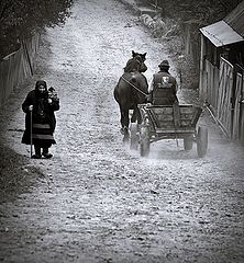 photo "On the life trails"