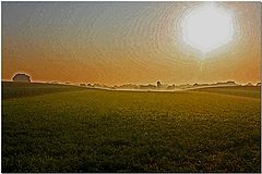 фото "Lucky Ole Sol"