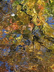photo "autumn"