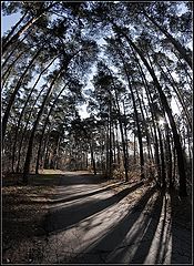 фото "про осень и новый объектив))"