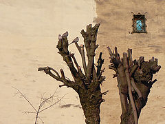 photo "Memories of the past"