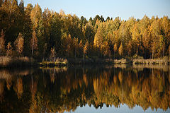 фото "Золотая осень"