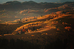 фото "..."