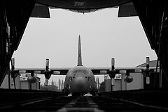 photo "Hercules in a Hercules"