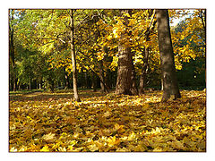 photo "***"