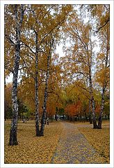 photo "Autumn postcard"