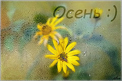 photo "***"