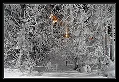 фото "Снежный этюд"