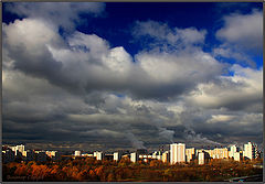 фото "Выглянуло солнце"