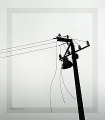photo "***"