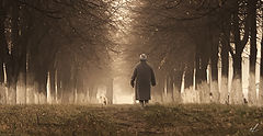 photo "In the fog"