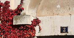 фото "autumn at number two"