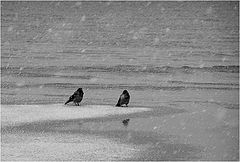 photo "Bad weather"