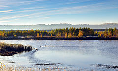 фото "Ранним утром"