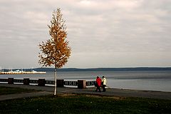 photo "***"
