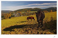 фото "Autumn feast"