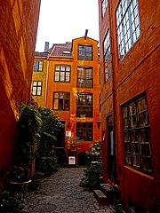 photo "Back Yard Copenhagen"