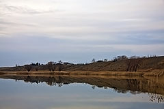 photo "***"