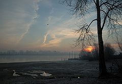 photo "***"