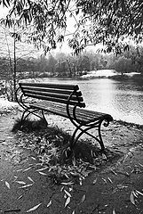 photo "***"