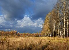 photo "Golden Autumn"