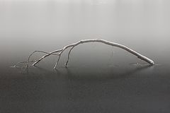 photo "***"