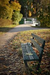 photo "***"