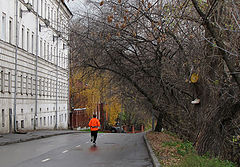 фото "Осенний марафон"