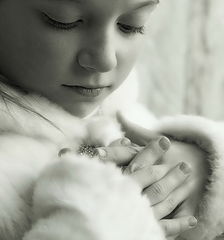 photo "The cold autumn of 2010"