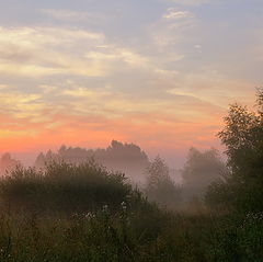 фото "нежные краски июльского утра (2)"