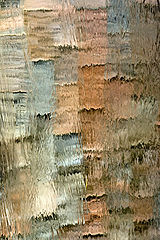 photo "***"