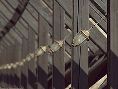 фото "***"