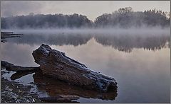 фото "Утро туманное..."